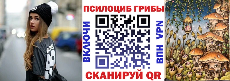 хочу наркоту  Шиханы  Галлюциногенные грибы Psilocybine cubensis 