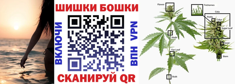 Бошки марихуана план  МЕГА зеркало  Шиханы 